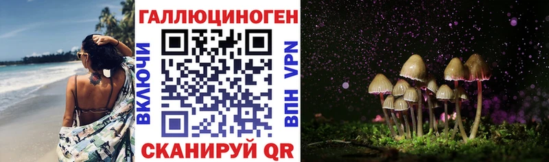 купить наркотик  Волжский  Псилоцибиновые грибы Magic Shrooms 